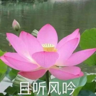 人民网评：赓续航天精神筑梦星辰大海